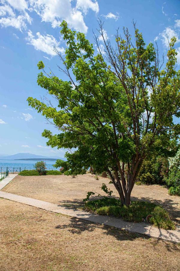 Villaevanafplion Paralia Irion Exterior photo
