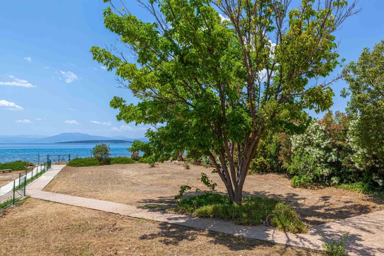 Villaevanafplion Paralia Irion Exterior photo